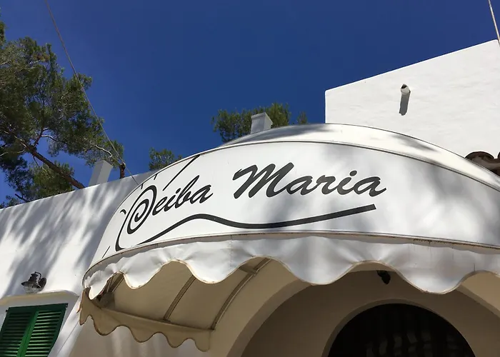 Casa Ceiba Maria